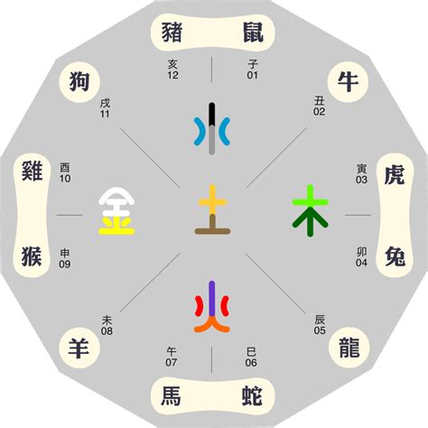 橘色五行屬性|橘色五行屬什麼？五行與生肖的關係揭祕，助你趨吉避兇，順遂人。